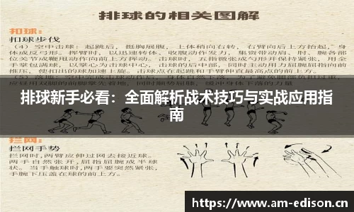 排球新手必看：全面解析战术技巧与实战应用指南